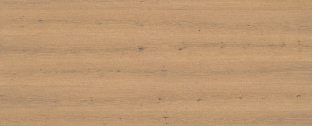 C017  White Oak Scab Yellow   Horizontal