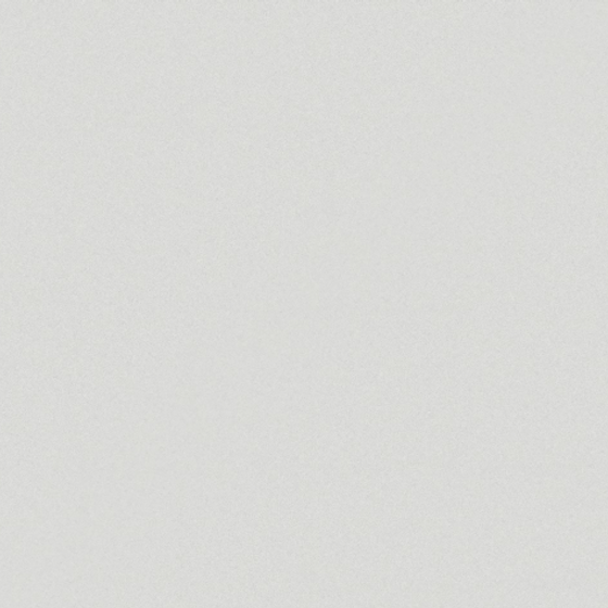 Cosentino Silestone Blanco Norte in Earth Color