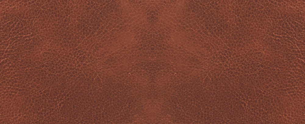 Amash Dermatoglyphics-Brown 136P