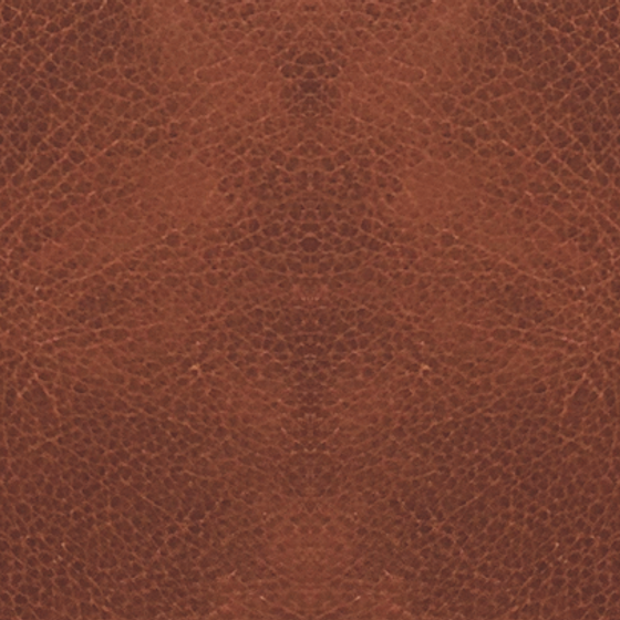 Amash Dermatoglyphics Brown 136P Wooden Panel