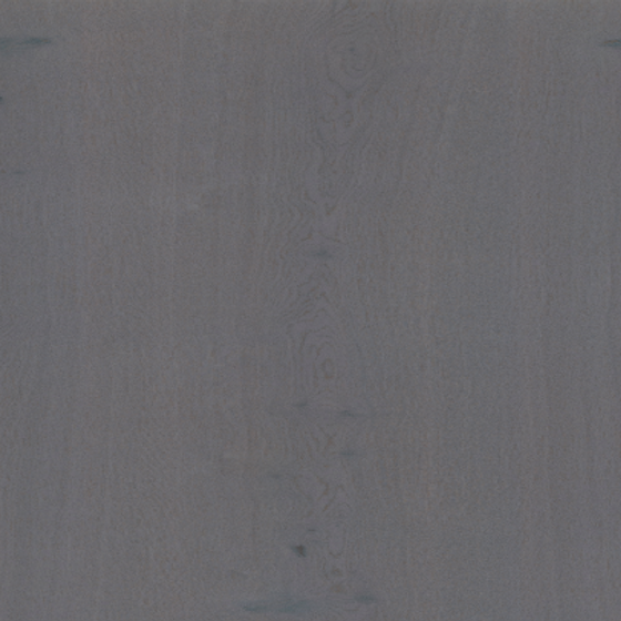 C018 White Oak Scab Grey in Gray