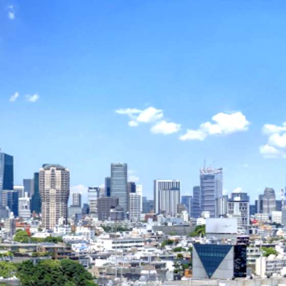 Ky-Exterior Pattern 3D Model in Blue