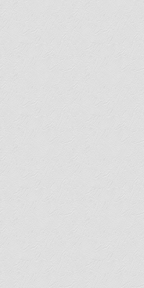 DL200 Spirit feather ash