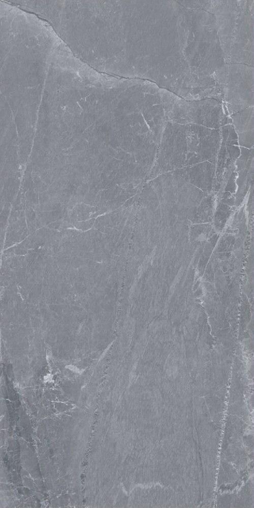 SANDIMAS-Ancona Grey 60x120 F3