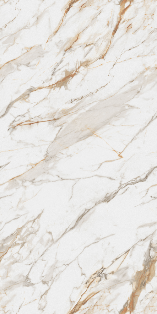 SANDIMAS-BIANCO LASA F1