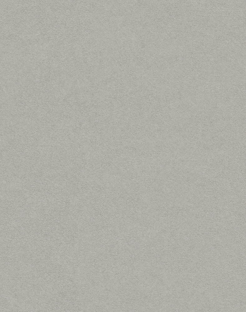Le Blanc2- Plain color - Seamless wall cloth -LB2-35
