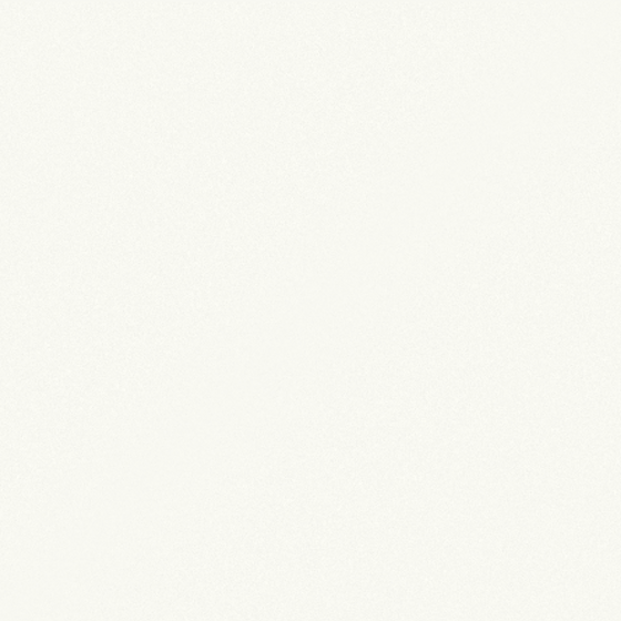 Enamel White Wood Veneer Panel