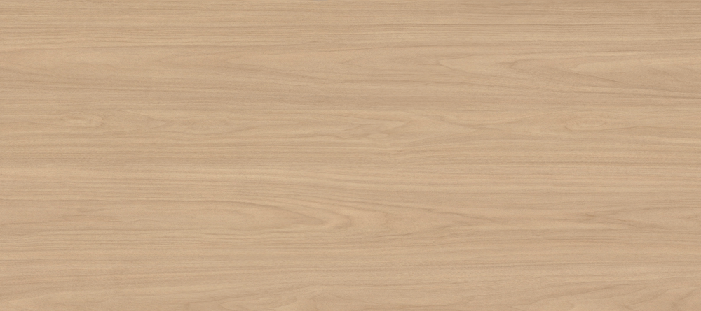 New Zealand Maple -1