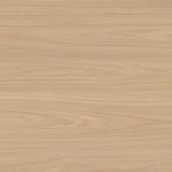 Wood Color New Zealand Maple 3D Model