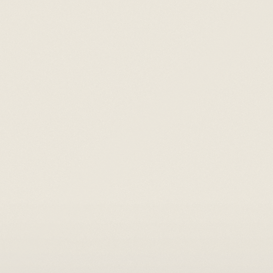 Nippon Hush White Wall Paint