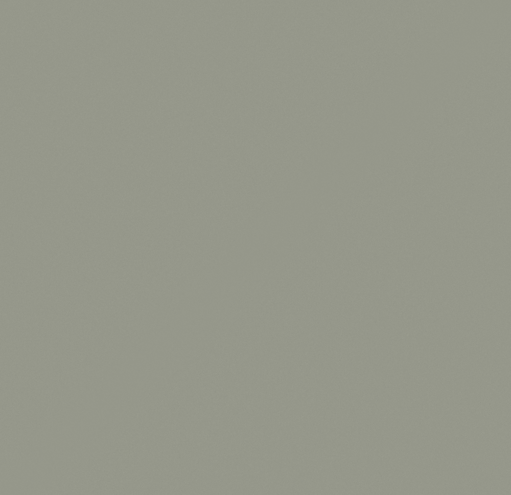 Evergreen Fog Wall Paint 3D Model for Warm Spaces