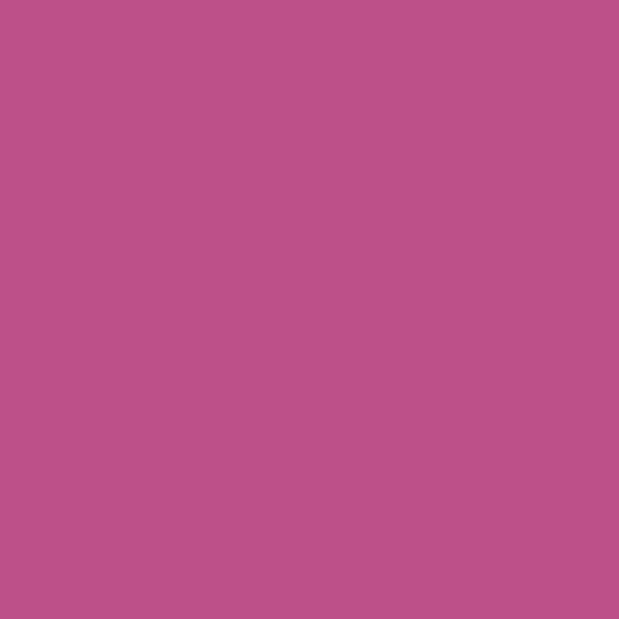 21114 Bubblegum Glossy Paint for Walls