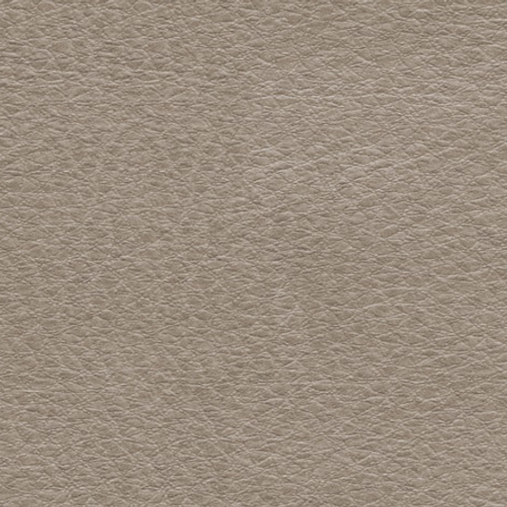 Stylish Coverstyl NE42 Caramel Leather Paint 3D Model