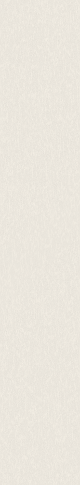 morning glory  paint