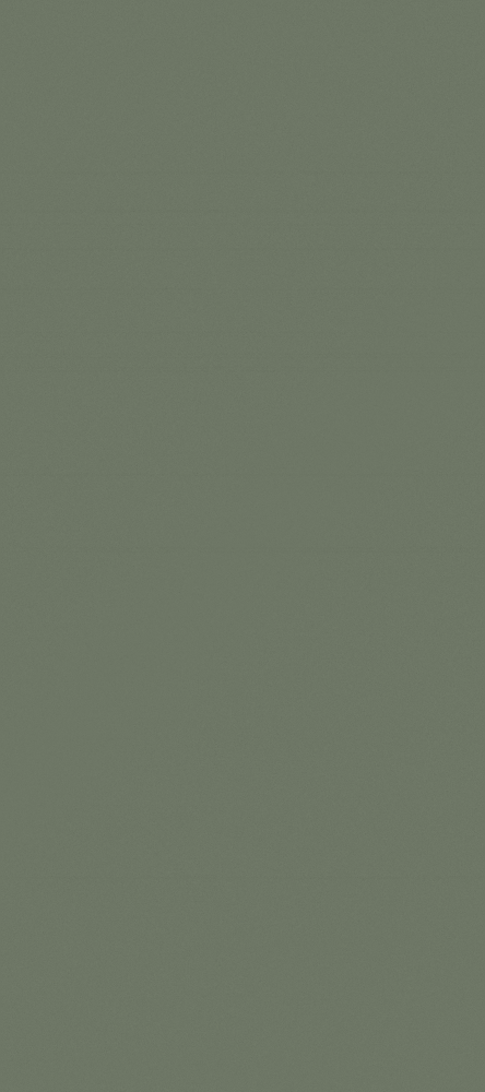 Stylish Gothic Grey Wall Paint 3D Model