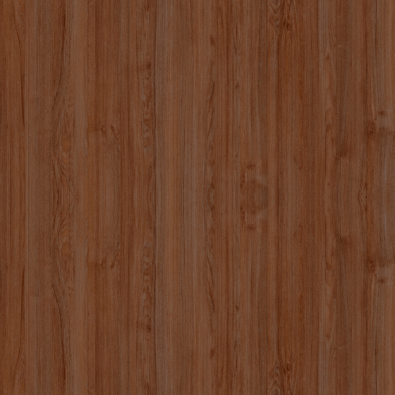 Wall Paint 3D Model