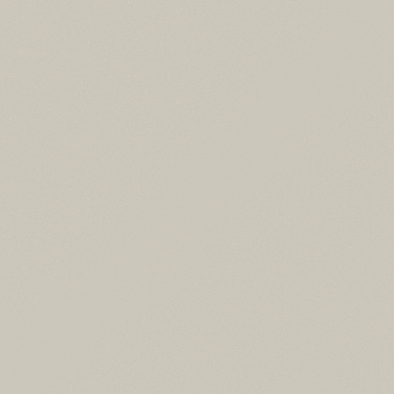 Ash Wall Paint 3D Model