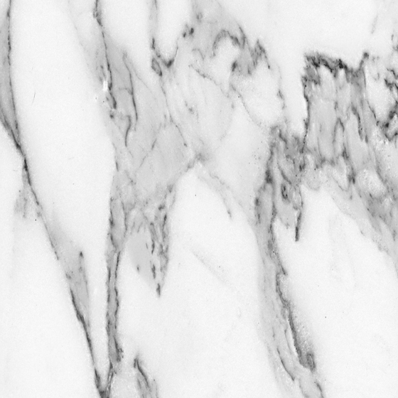 Elegant Carving White Marble Floor 3D Model 1000x1650