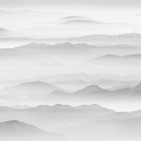 New Chinese-Style Gray and White Landscape