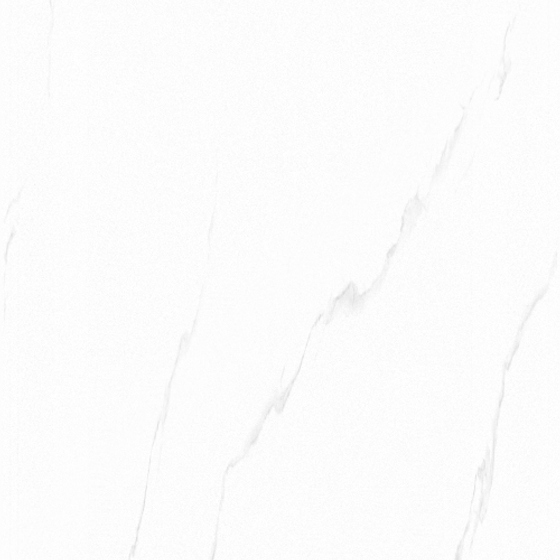 300600 Lanlin Er Shaohua