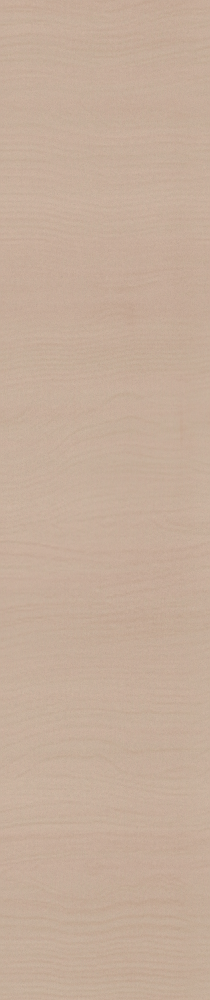 Weixin Keyuan - Midsummer Evening Elm