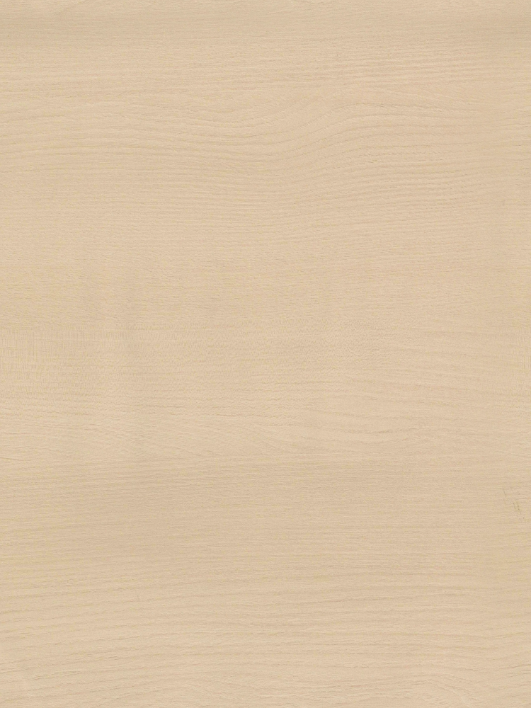 Weixin Kexuan - Blossoms in Spring Dawn