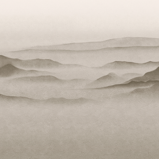 DG8020-B Texture