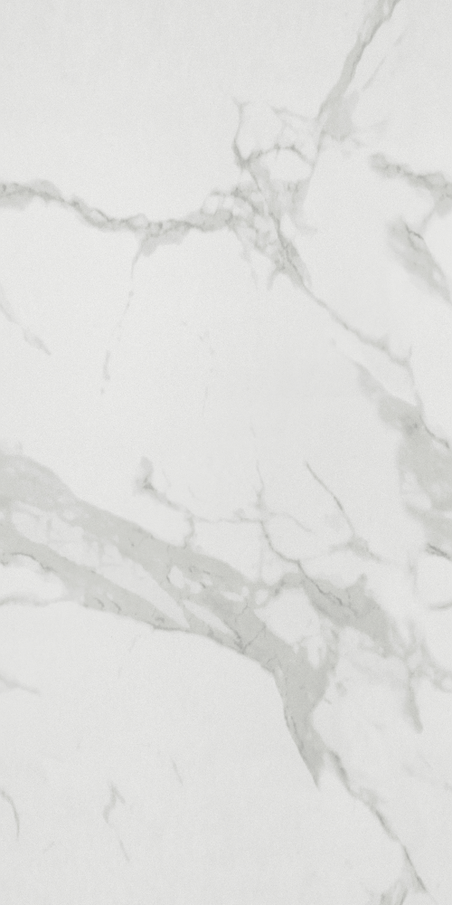 Fish Maw White 750x1500 (2)