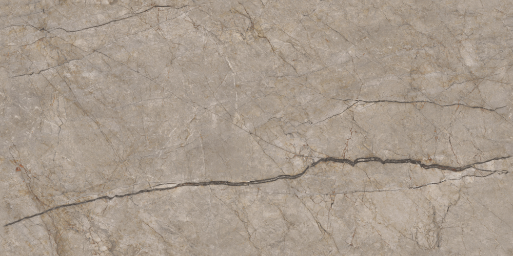 Rainforest Cloud Gray 1200x600