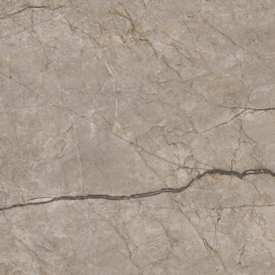 Rainforest Cloud Gray 1200x600