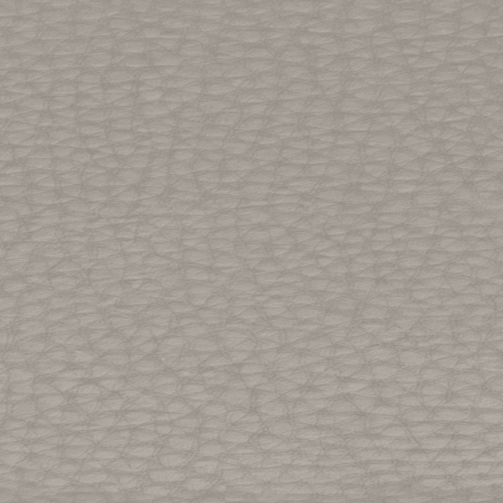 FG25582K Texture
