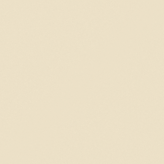 FG25504S Texture