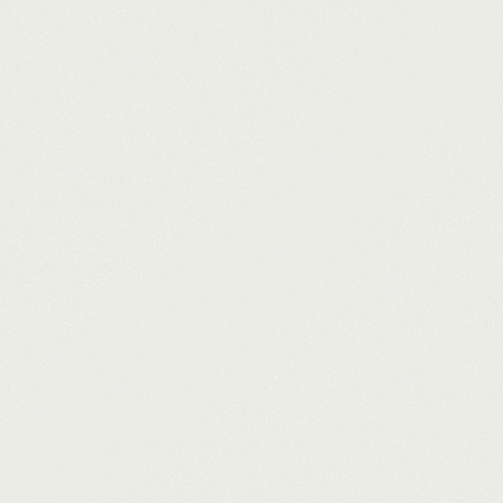FG25501S Texture