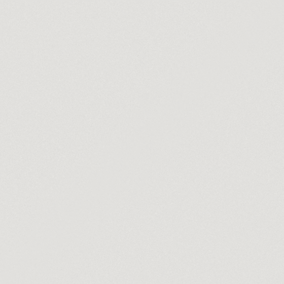FG25502S Texture