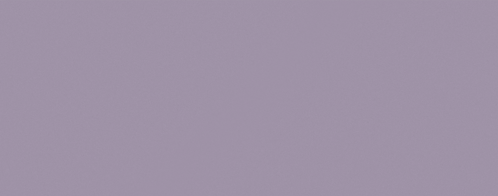 NP N 1945T-Wonder Land