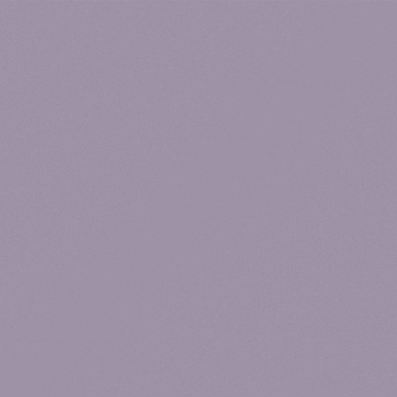 NP N 1945T-Wonder Land