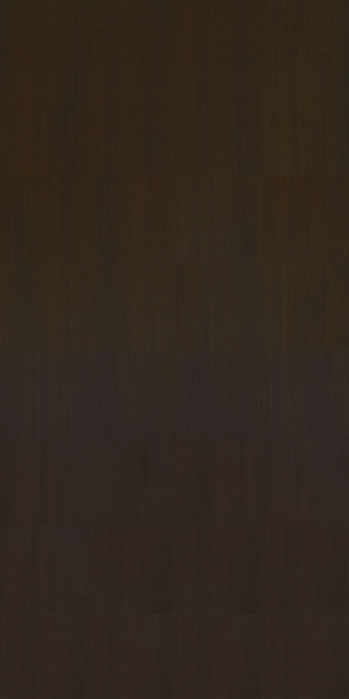 HOMEGA_HZ 2008 SM Alpine Elm