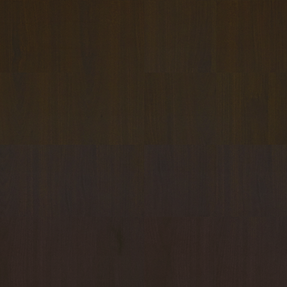 HOMEGA_HZ 2008 SM Alpine Elm