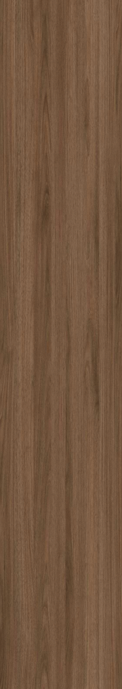 Wood Texture