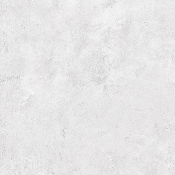 North White Spatulato 50x100 2