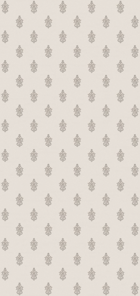 WhatsApp Image 2025-09-17 at 10.12.35_7a9d0f82