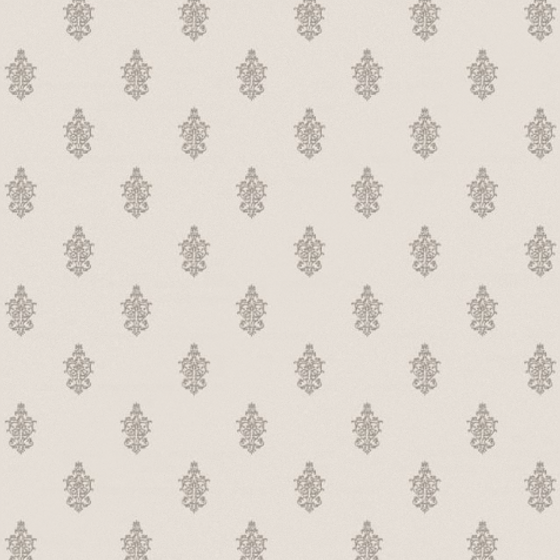 WhatsApp Image 2025-09-17 at 10.12.35_7a9d0f82