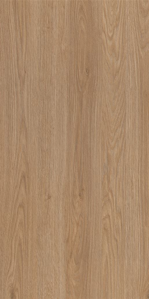 WhatsApp Image 2025-09-20 at 12.17.24 PM