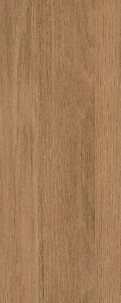 Wood Texture
