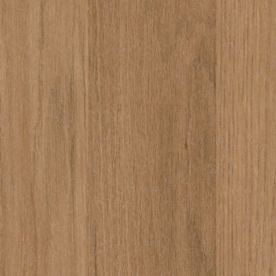 Wood Texture