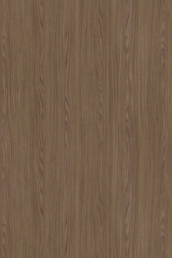Wood Texture