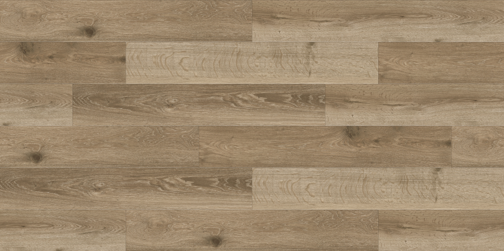 WD2124-WD8124 20231130K03