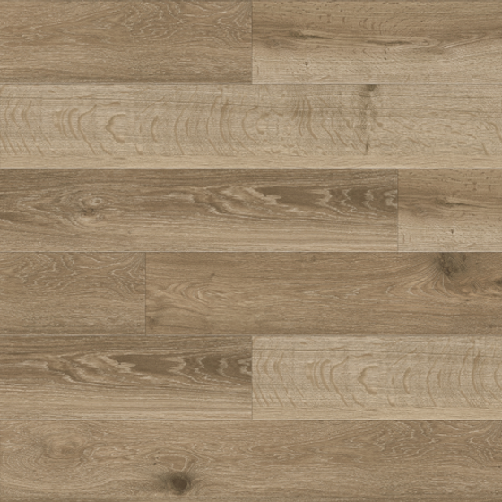 WD2124-WD8124 20231130K03