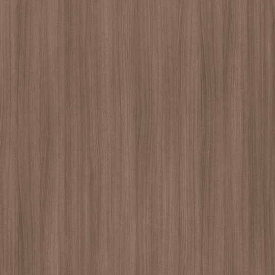 Wood Color Texture