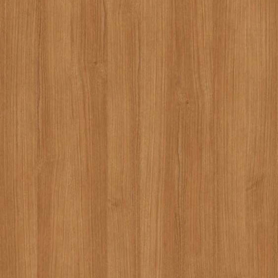Wood Color Texture